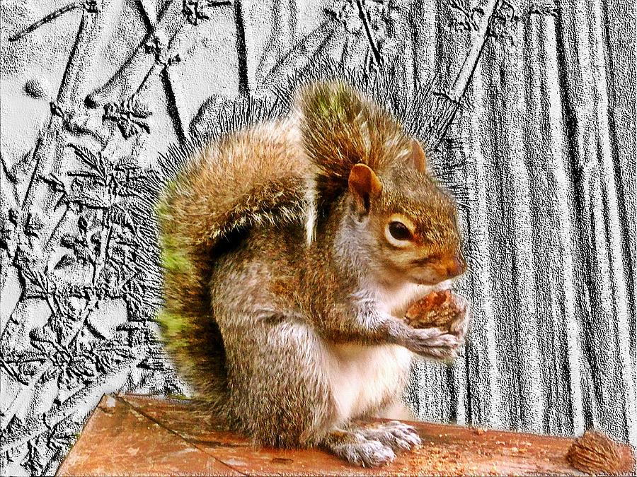 Squirrel eating a nut as art Digital Art by Karl Rose