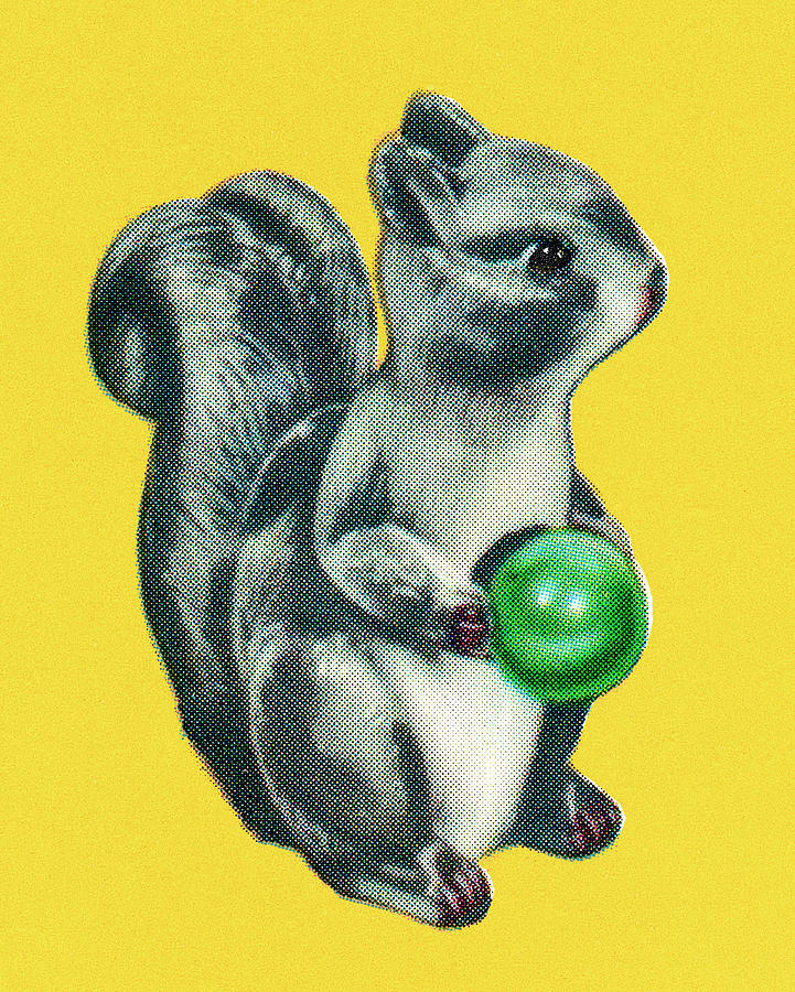 Vintage Drawing - Squirrel Holding a Little Ball by CSA Images