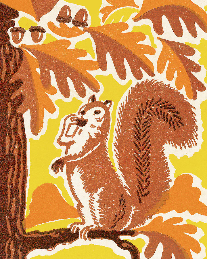 Fall Drawing - Squirrel in a Tree by CSA Images