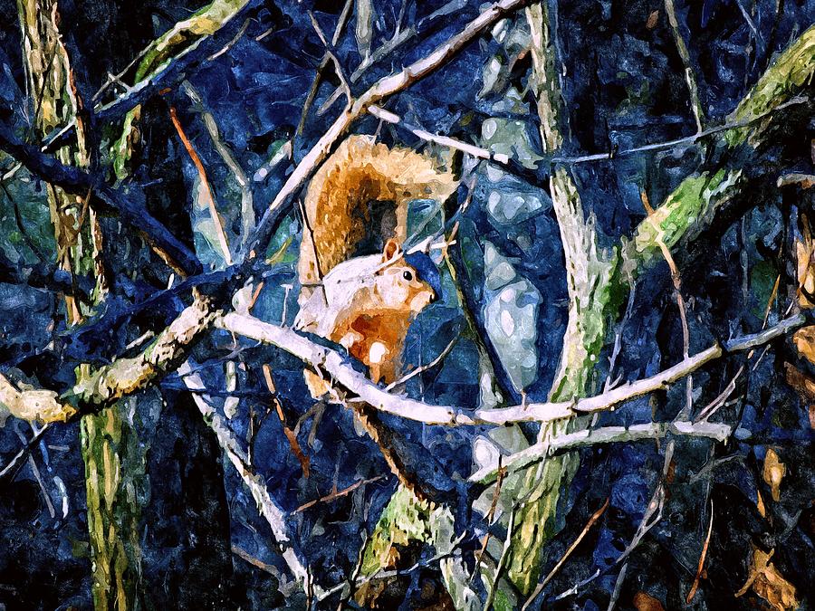 Squirrel in the Trees Mixed Media by Christopher Reed