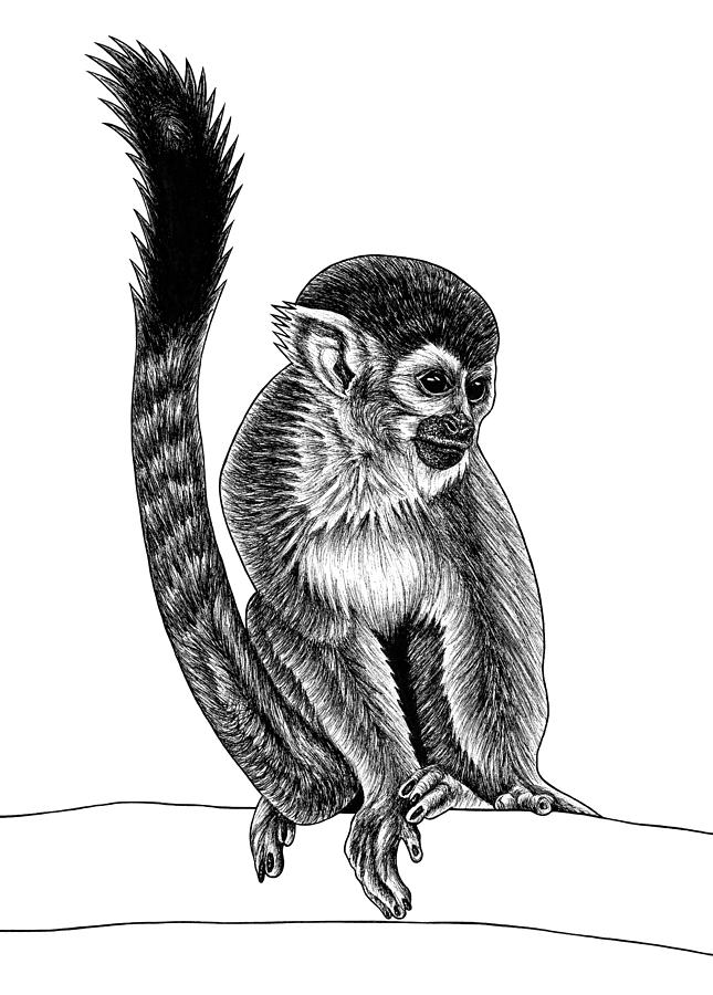 Cute Monkey Drawing - Cute Monkey - Sticker | TeePublic