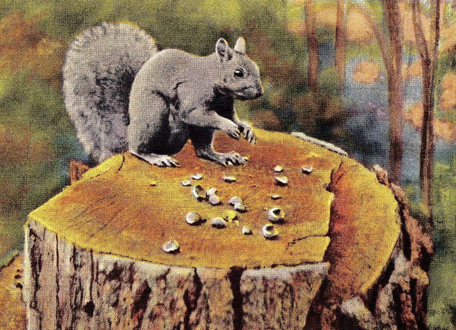 Fall Drawing - Squirrel on Tree Stump by CSA Images