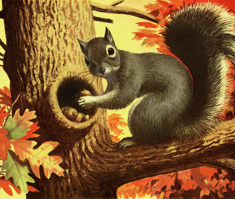 Fall Drawing - Squirrel Storing Nuts by CSA Images