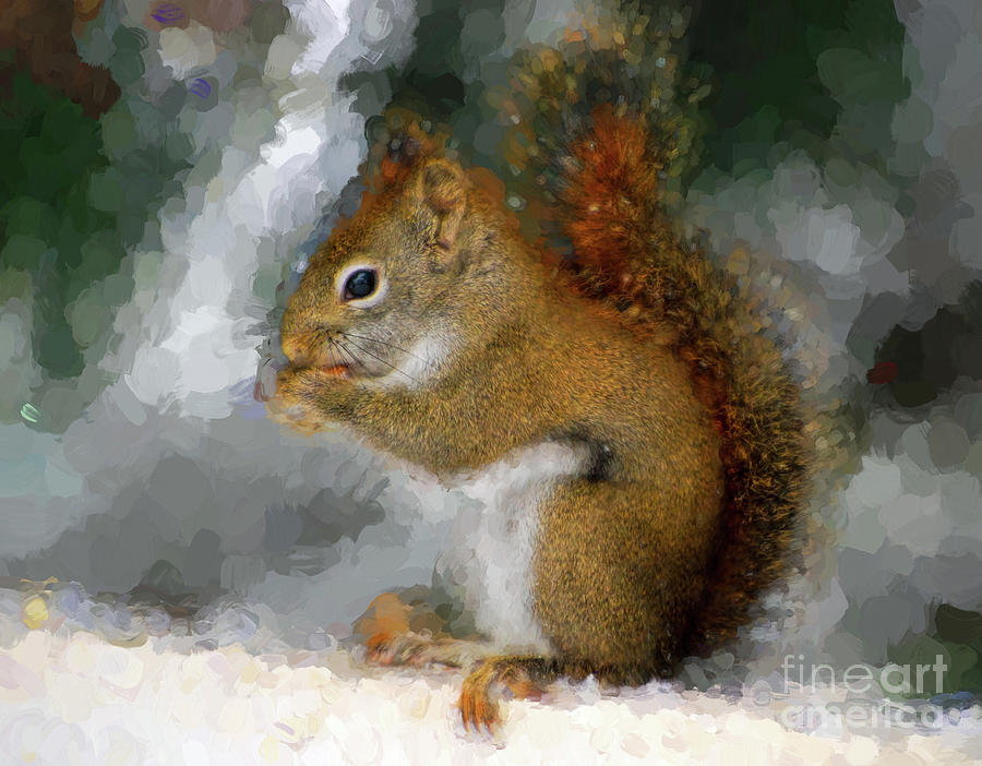 Squirrel Sweetness - Squirrel Art Photograph by Kerri Farley