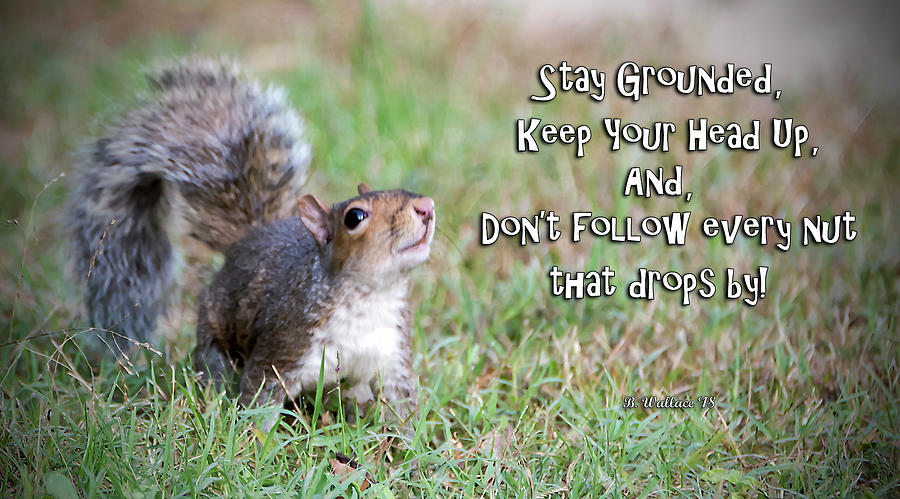 Squirrel Wisdom Photograph by Brian Wallace