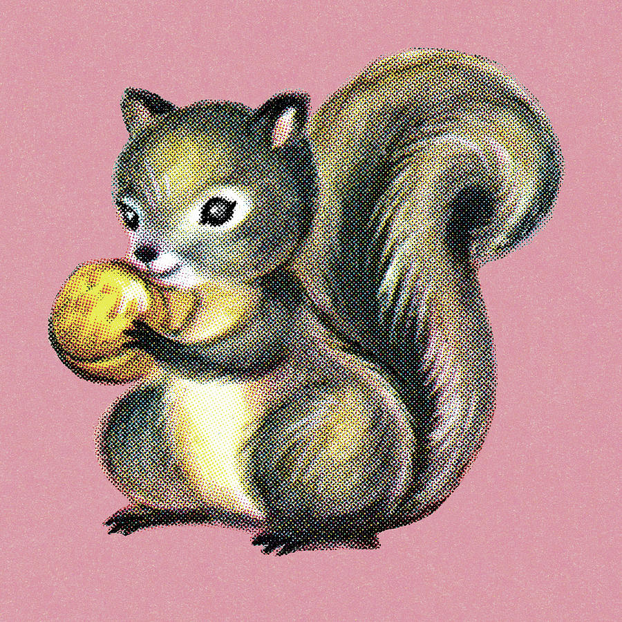 Nature Drawing - Squirrel with a Nut by CSA Images