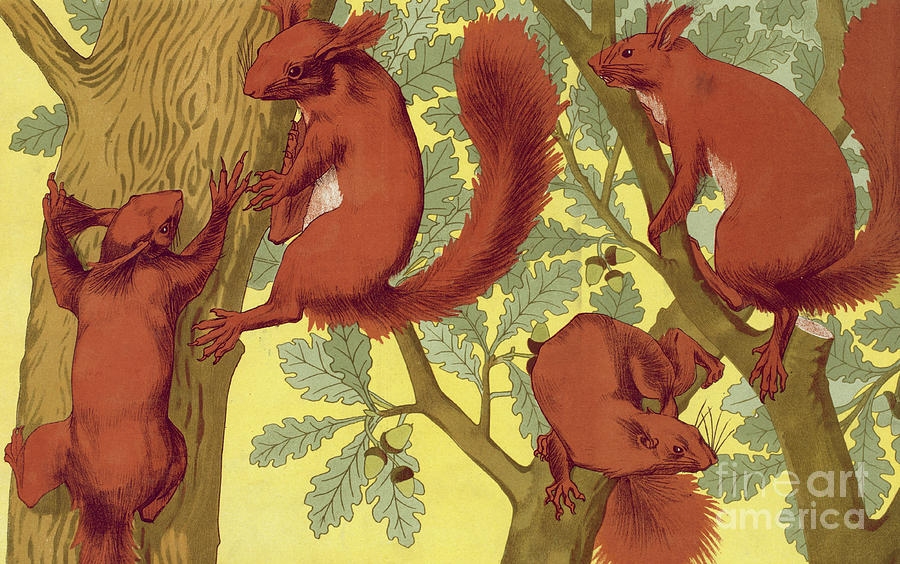 Squirrels by Maurice Pillard Verneuil Painting by Maurice Pillard Verneuil