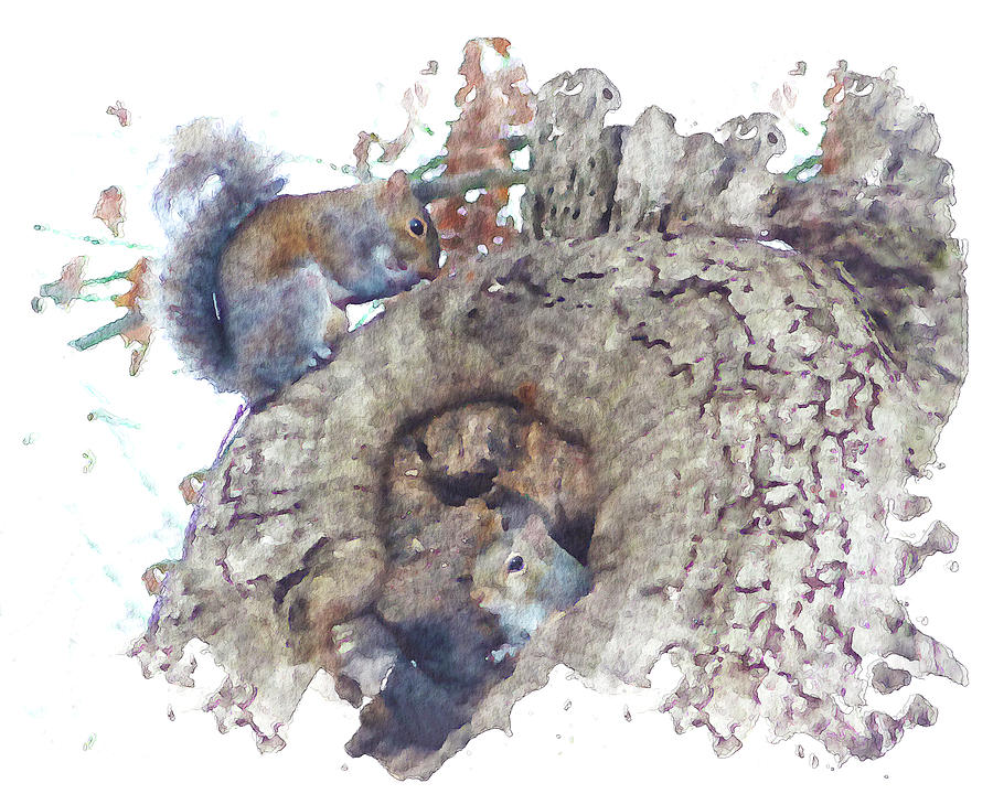 Squirrels life in Big Oak by Denise Beverly Squirrels life in Big Oak by Denise Beverly