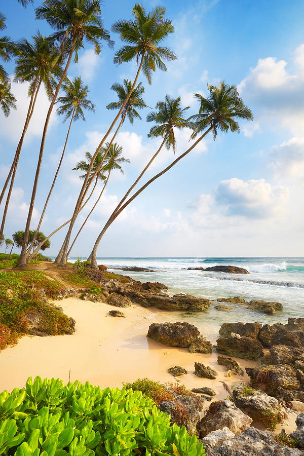 Summer Photograph - Sri Lanka - Koggala Palm Beach, Asia by Jan Wlodarczyk