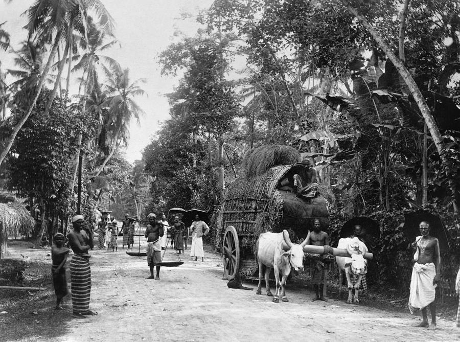 Sri Lanka Road Photograph by Frank George Carpenter