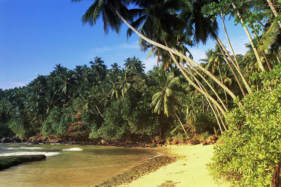 Sri Lanka, Tropical Beach Photograph by Peter Adams