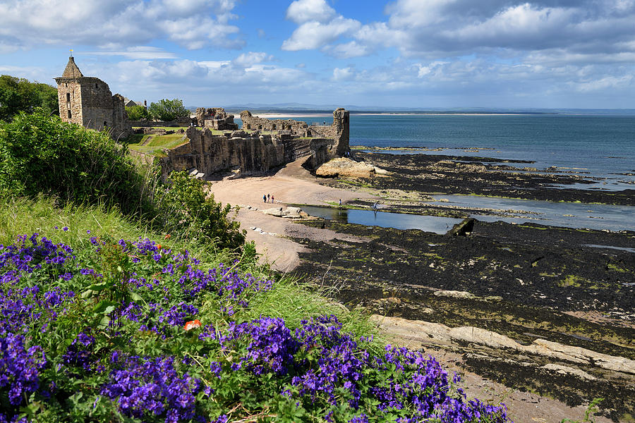 St Andrews Castle ruins on rocky North Sea coast overlooking Cas Photograph by Reimar Gaertner