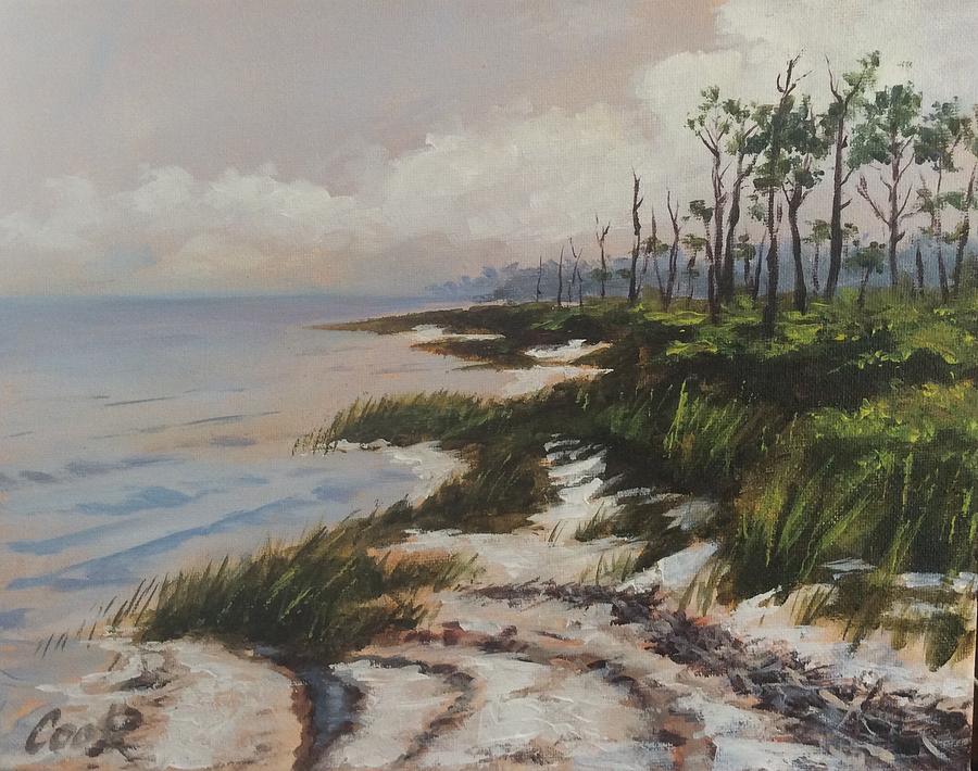 St. George Island bay side Painting by Michael Cook