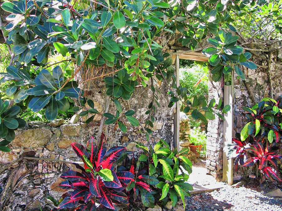 St. George Village Botanical Garden, St. Croix Photograph by Segura Shaw Photography