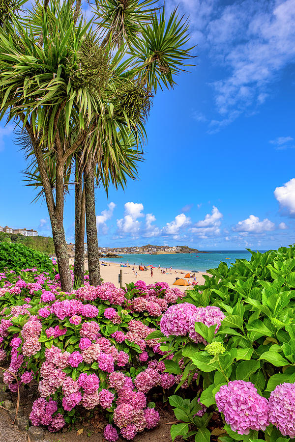 St Ives Cornwall - Summer time by Eddy Kinol St Ives Cornwall - Summer time by Eddy Kinol