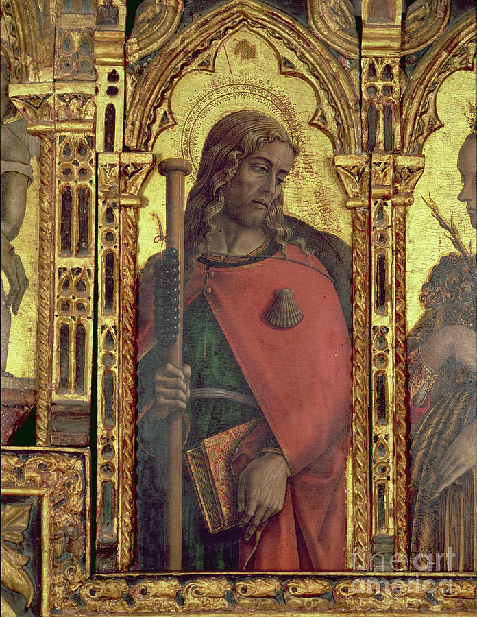 St. James, Detail From The San Martino Polyptych Painting by Carlo Crivelli