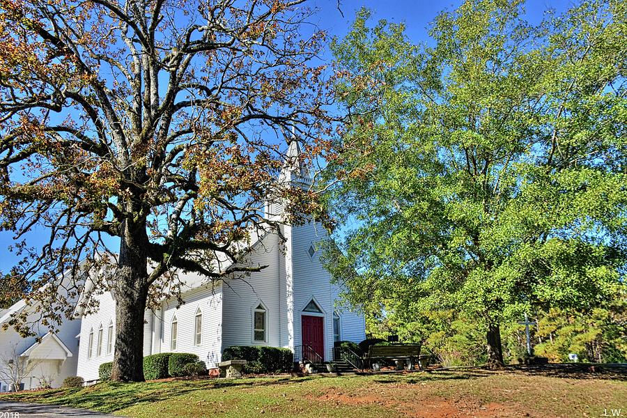 Tree Photograph - St. John Lutheran Church Irmo South Carolina by Lisa Wooten