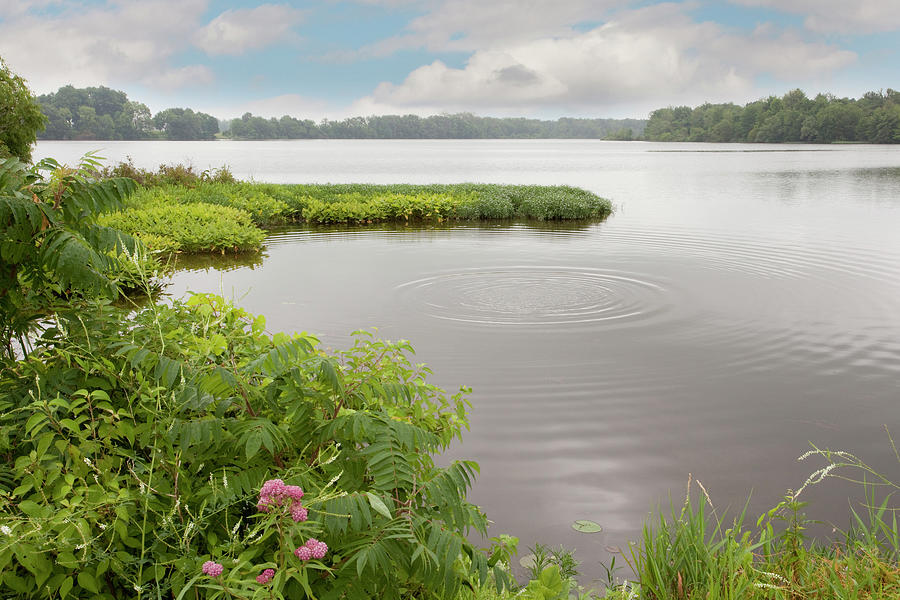 St. Joseph River, Centreville, Michigan ?10 Photograph By Monte Nagler 