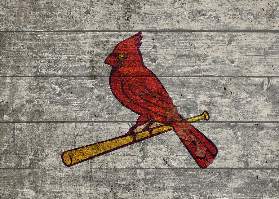 St Louis Cardinals Logo Vintage Barn Wood Paint Mixed Media by