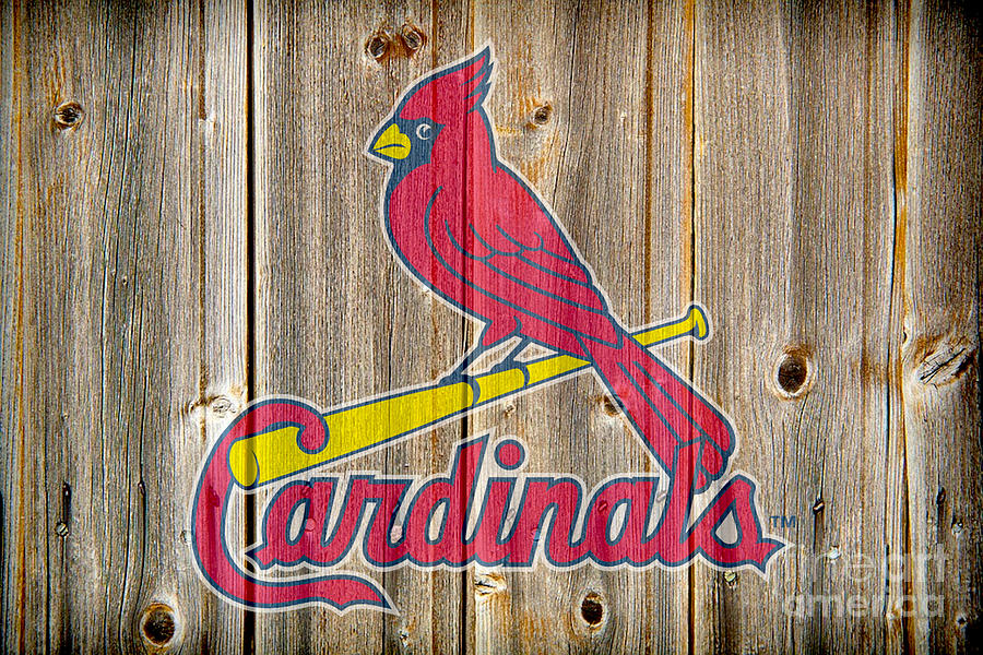 St Louis Cardinals Digital Art by Steven Parker