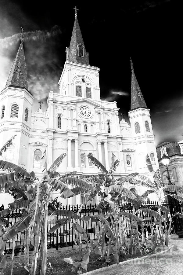 St. Louis Cathedral at Night New Orleans Photograph by John Rizzuto
