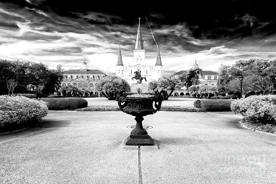 Tree Photograph - St. Louis Cathedral Dimensions New Orleans by John Rizzuto