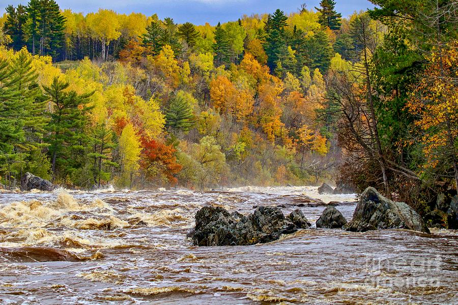 St. Louis River at Jay Cooke Photograph by Susan Rydberg