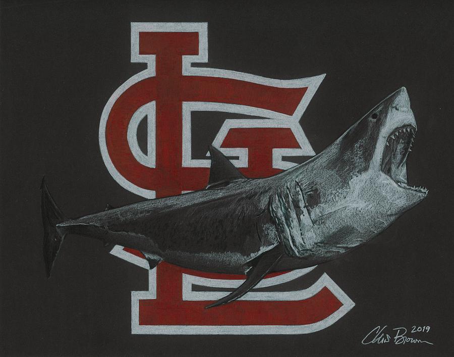 St. Louis Sharks Drawing by Chris Brown