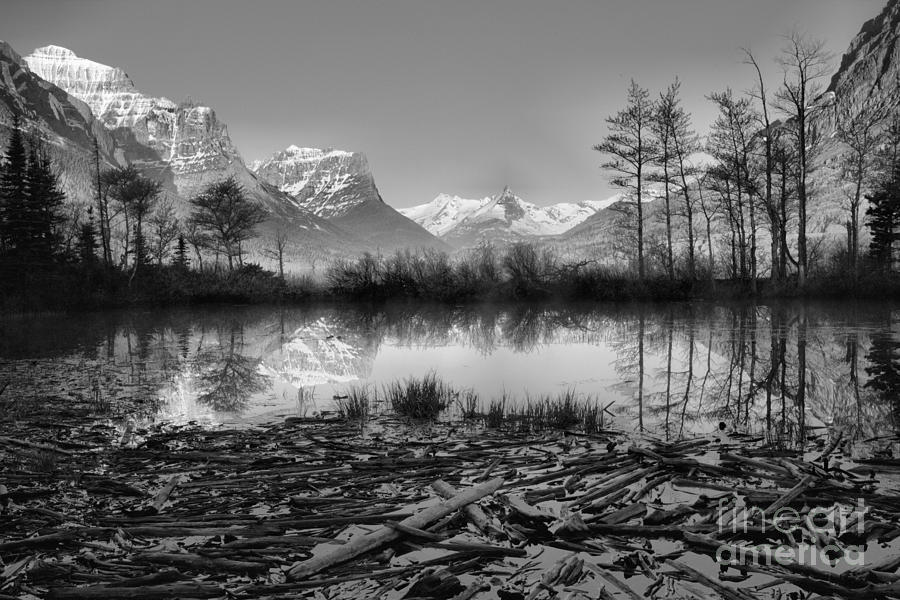 St. Mary Driftwood Pond Reflections Black And White Photograph by Adam Jewell
