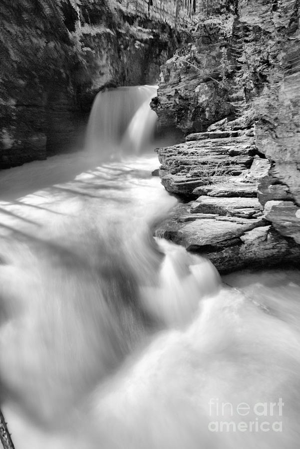 St. Mary Falls Spring Portrait Black And White Photograph by Adam Jewell