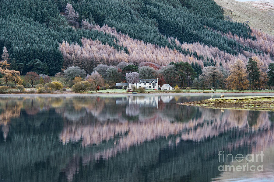 St Marys Loch Scotland  Photograph by Tim Gainey