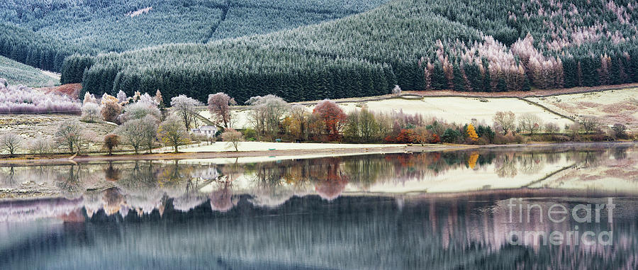St Marys Loch Seasonal Reflections Photograph by Tim Gainey