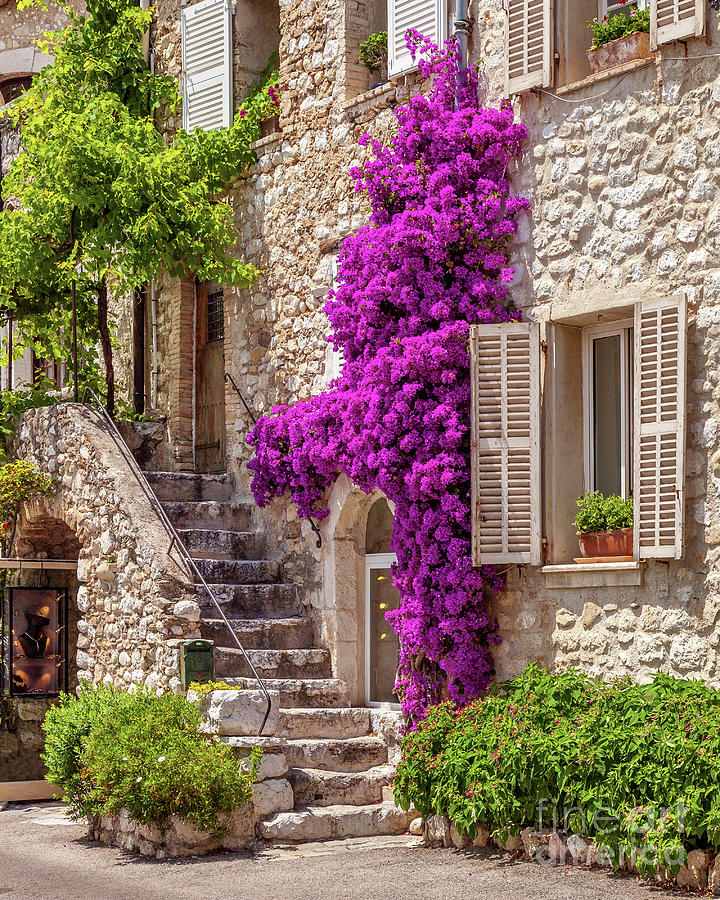 St Paul de Vence Flowers - Provence France Photograph by Brian Jannsen
