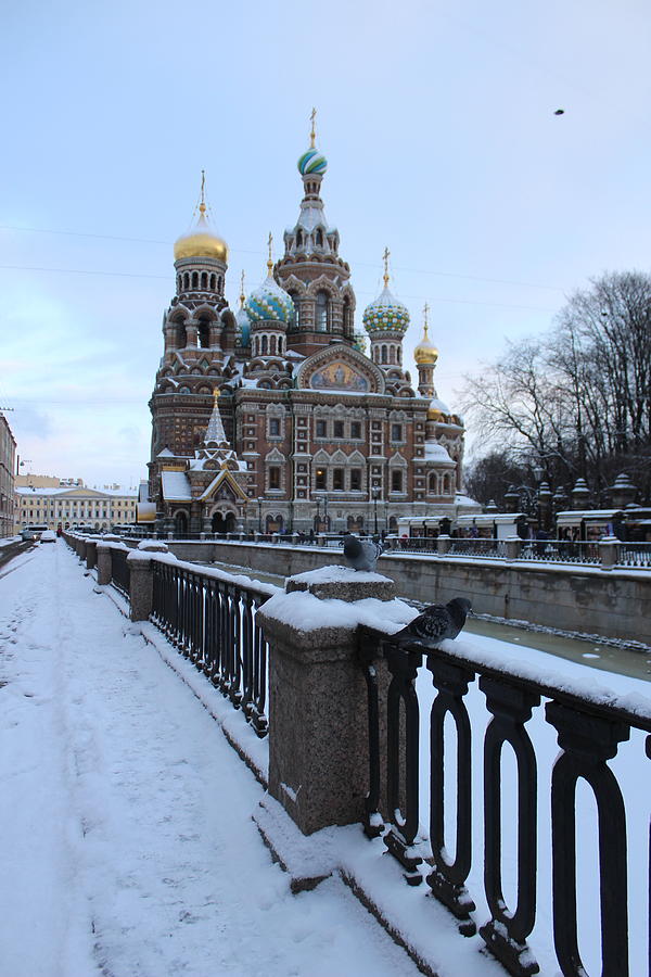 St. Petersburg Photograph by FD Graham