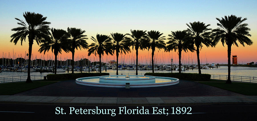 St. Petersburg Florida pano work A Photograph by David Lee Thompson
