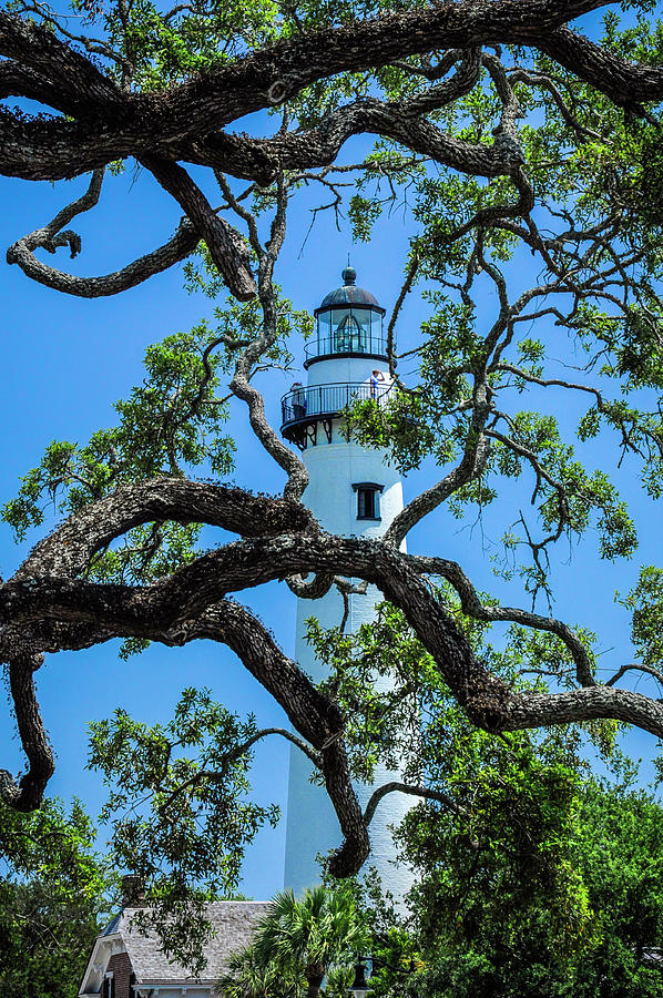 St Simons Lighthouse Photograph by Ginger Stein