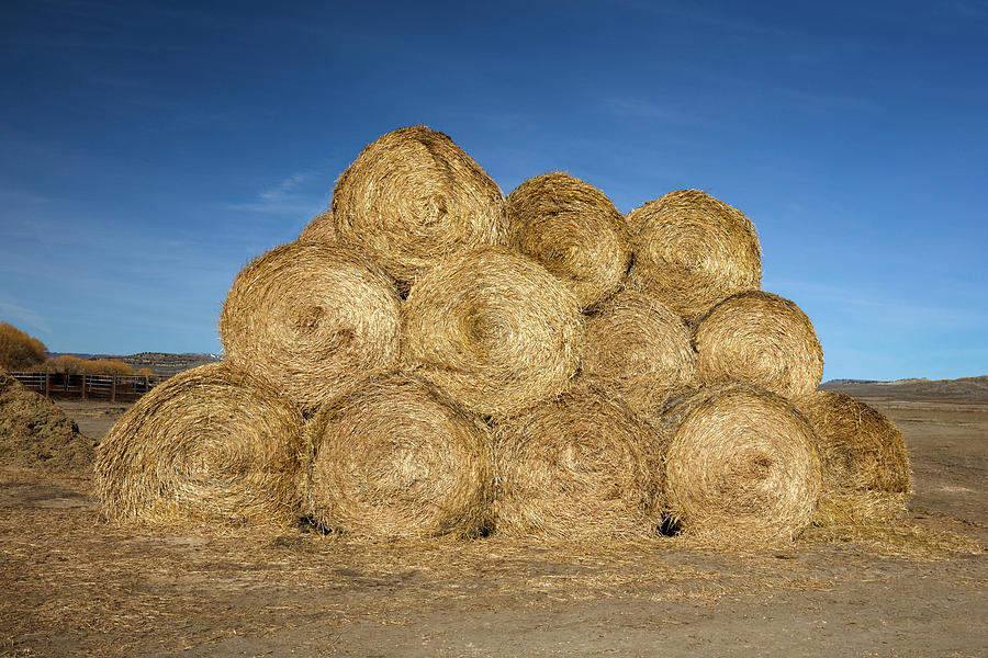 Stack of Bales Photograph by Todd Klassy