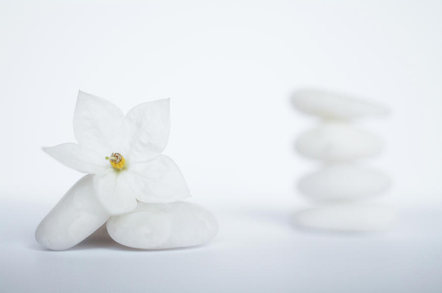 Stack Of White Pebbles And Jasmine Photograph by G.g.bruno