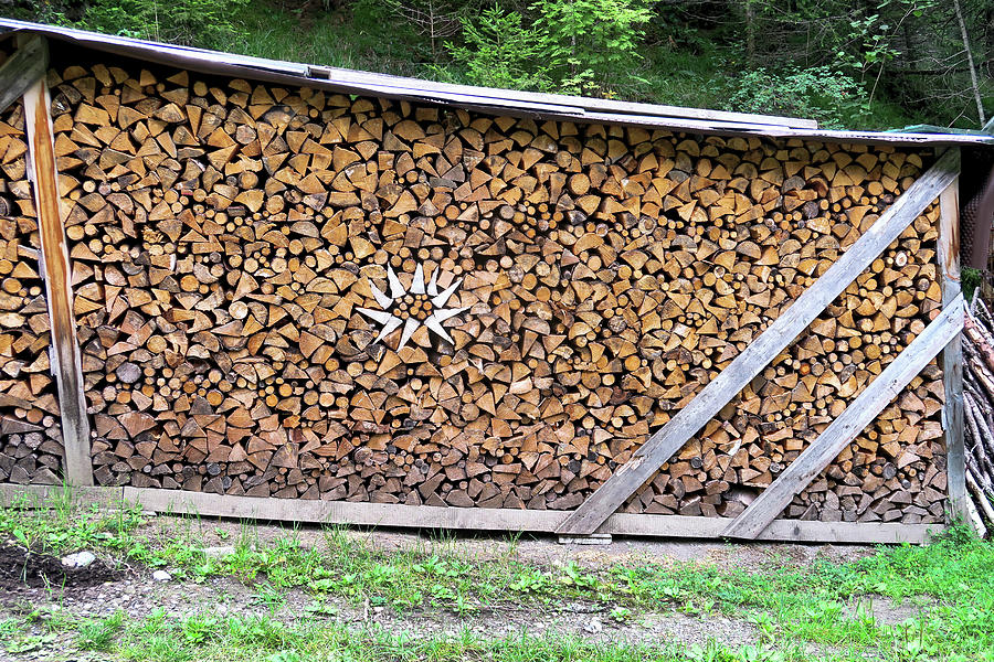 Stacked And Covered Firewood Photograph by Petr Gross