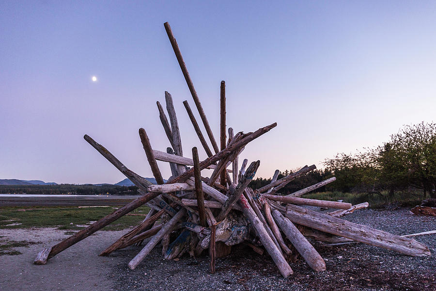 Nature Digital Art - Stacked Driftwood Logs On Beach At Dusk, Rathrevor Beach Provincial Park, Vancouver Island, British Columbia, Canada by Manuel Sulzer