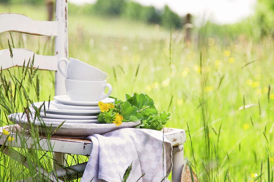 Stacked Plates And Cups With Flowers On A Wooden Chair In A Field In Springtime Photograph by Catja Vedder