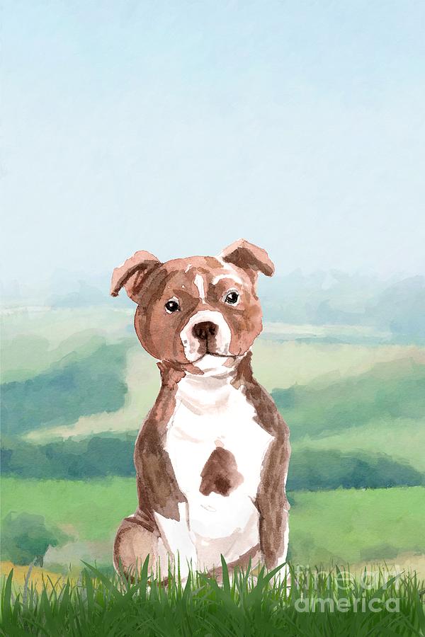 Staffordshire Bull Terrier Painting by John Edwards