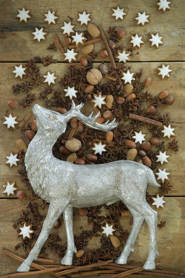 Stag Figurine Surrounded By Nuts, Cinnamon Stars, Cinnamon Sticks And Star Anise Photograph by Achim Sass