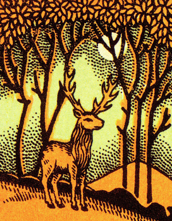 Deer Drawing - Stag in the Woods by CSA Images