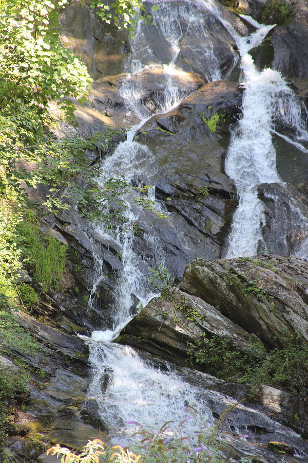 Staghorn Falls At Buck Mountain Photograph by Cathy Lindsey | Fine Art ...