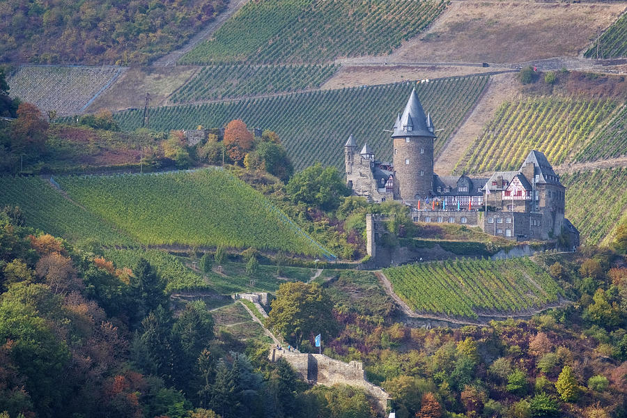 Stahleck Castle and Vineyards in Germany Photograph by Mary Lee Dereske