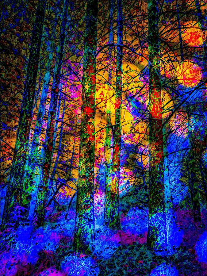 Stained Glass Forest Photograph by Christina Ford