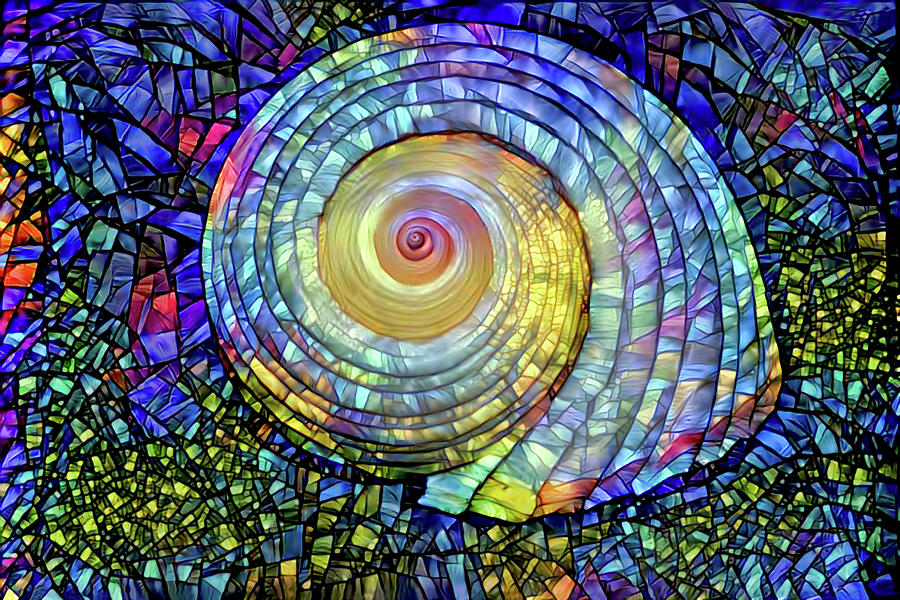 Stained Glass Shell Digital Art by Peggy Collins