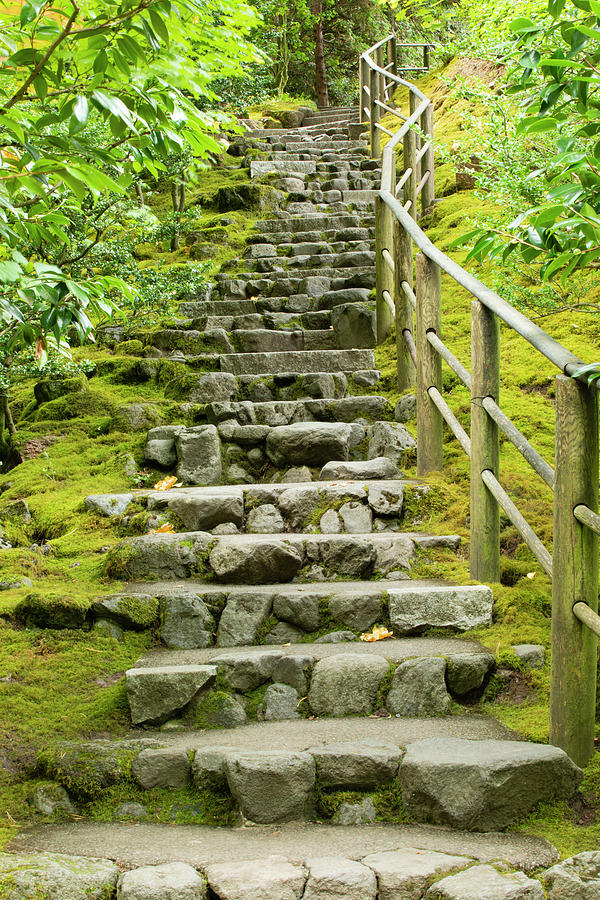 Stairs In Japanese Garden, Portland Photograph by Panoramic Images ...