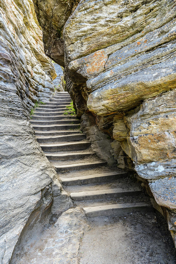 Stairway At Athabasca Falls, Jasper Photograph by Panoramic Images
